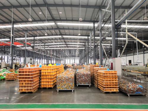 lady with a determined gaze