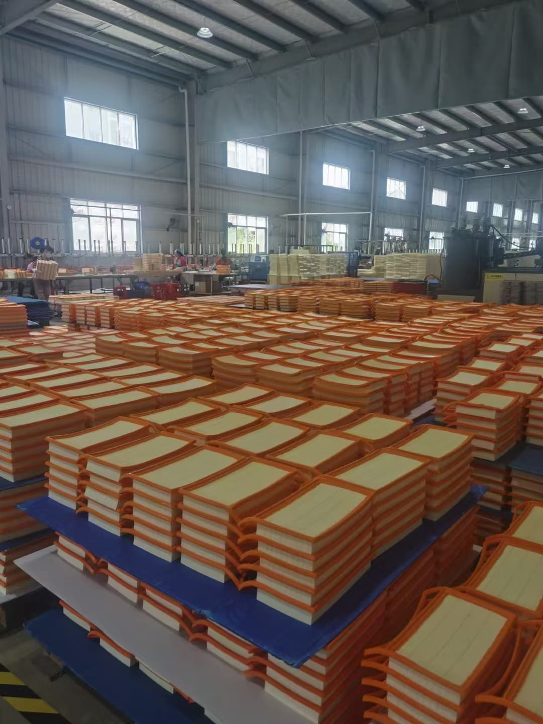 lady with a determined gaze